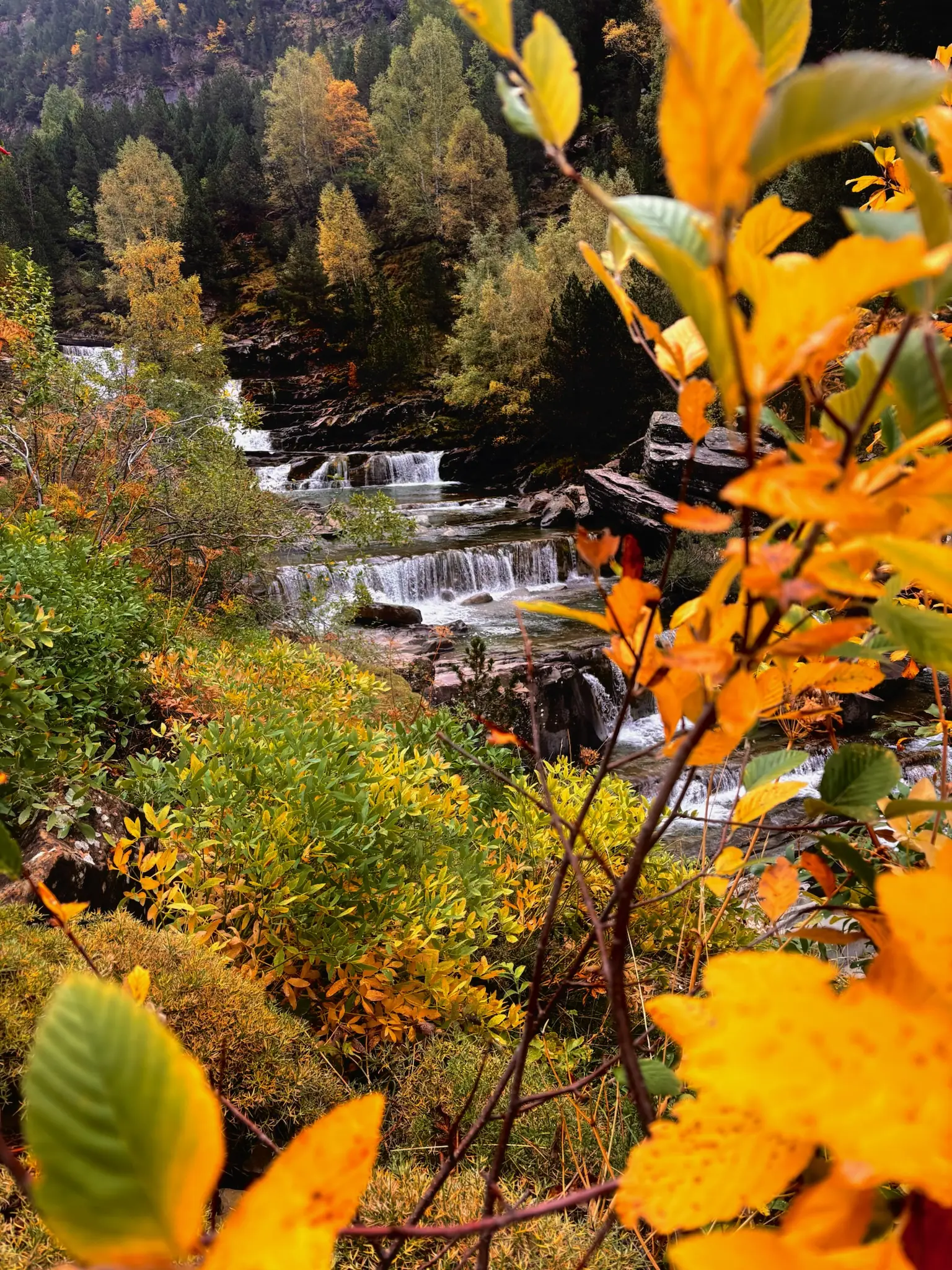 Hojas amarillas de otoño en primer plano con las cascadas de las Gradas de Soaso al fondo. Foto propia La Maleta Inquieta, octubre 2026