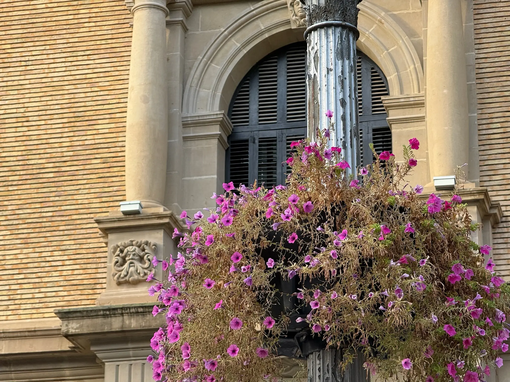 Farola decorada con flores moradas junto a edificio histórico del casco antiguo de Huesca. Foto propia La Maleta Inquieta, octubre 2026