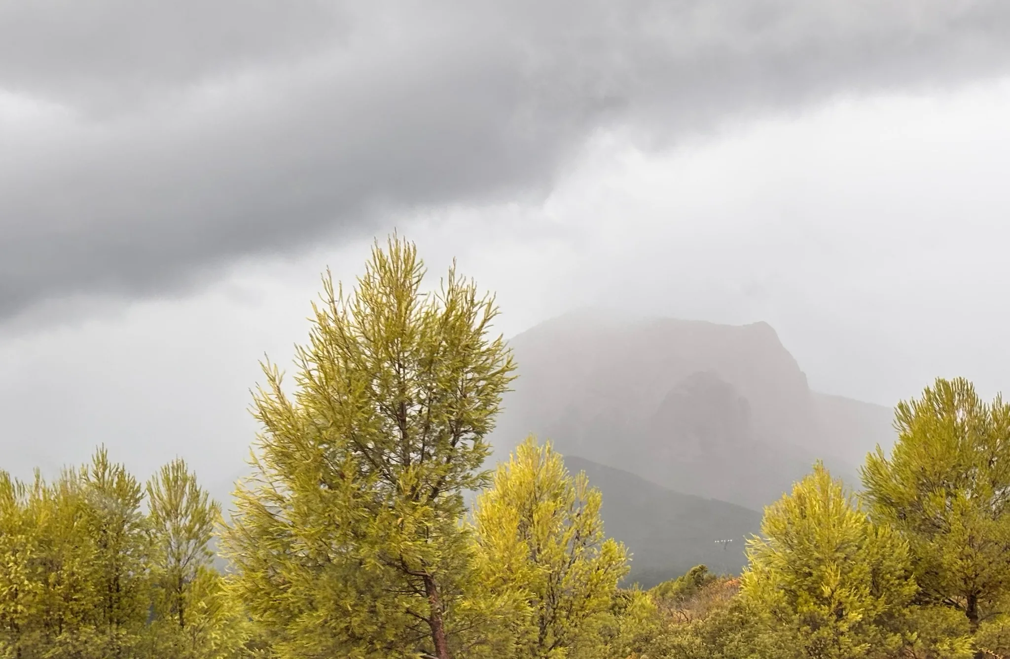 Mallo de Riglos casi oculto por niebla densa, rodeado de pinos en ladera con cielo gris tormentoso. Foto propia La Maleta Inquieta, octubre 2026