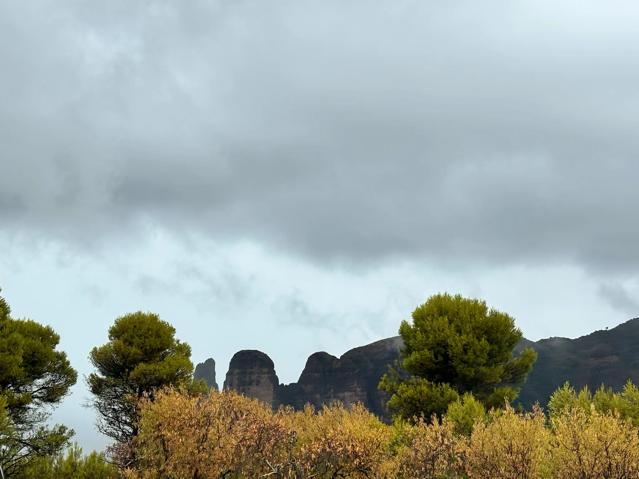 Los Mallos de Riglos entre pinos y arbustos mediterráneos con niebla envolviendo las formaciones rocosas. Foto propia La Maleta Inquieta, octubre 2026