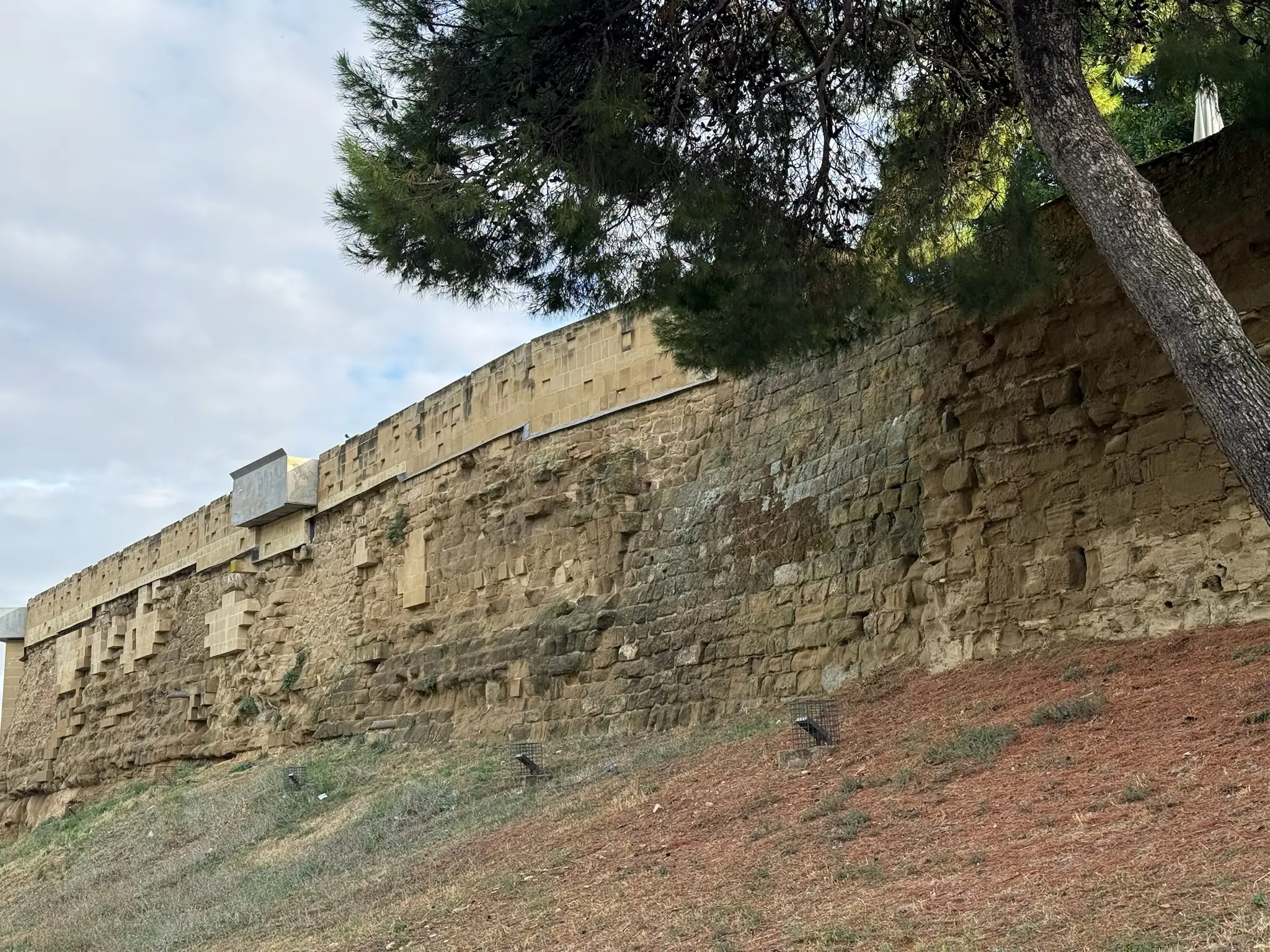 Lienzo de la muralla árabe de Huesca visto desde abajo con pinos en la parte superior. Foto propia La Maleta Inquieta, octubre 2026