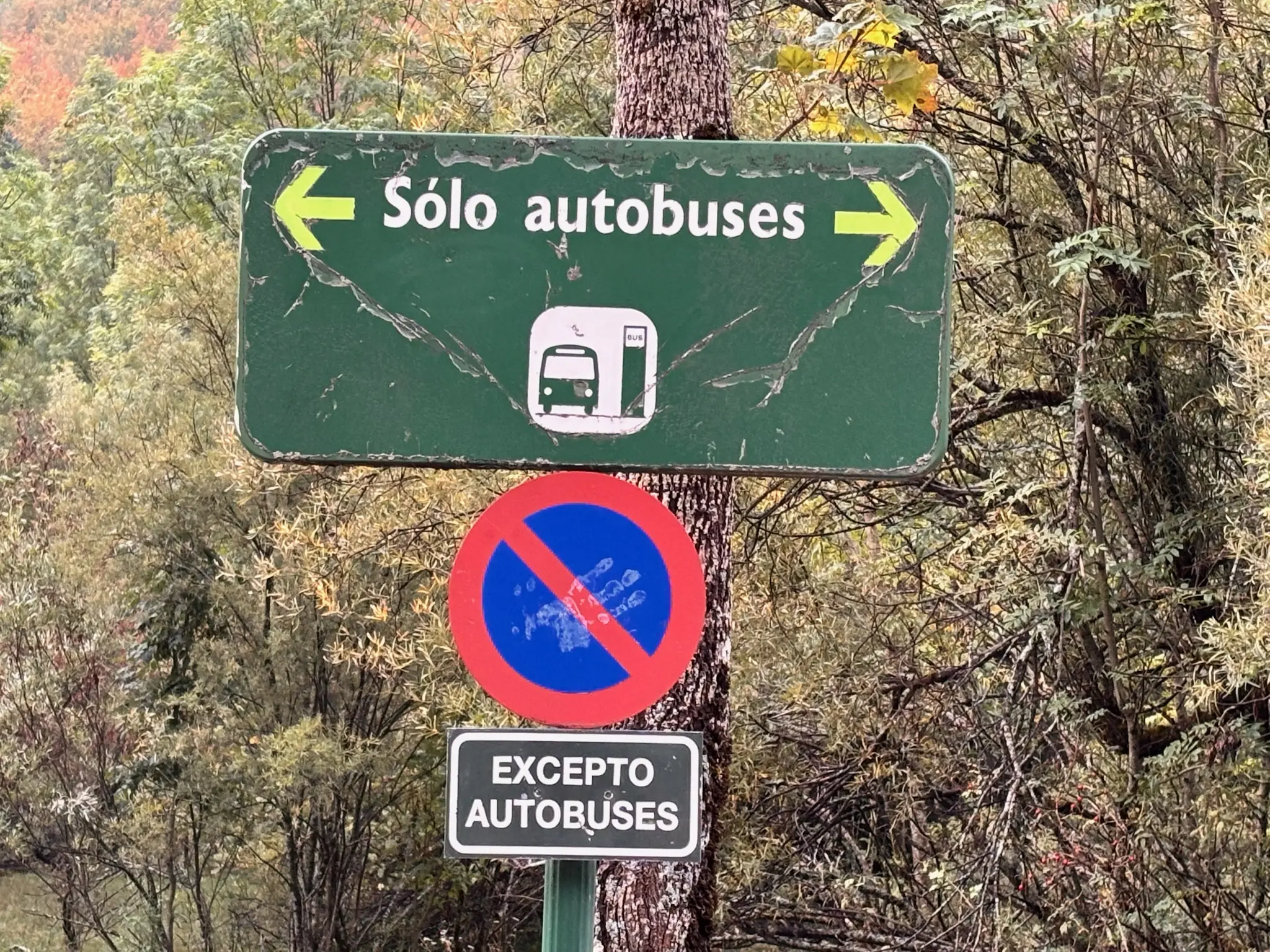 Cómo llegar a Ordesa