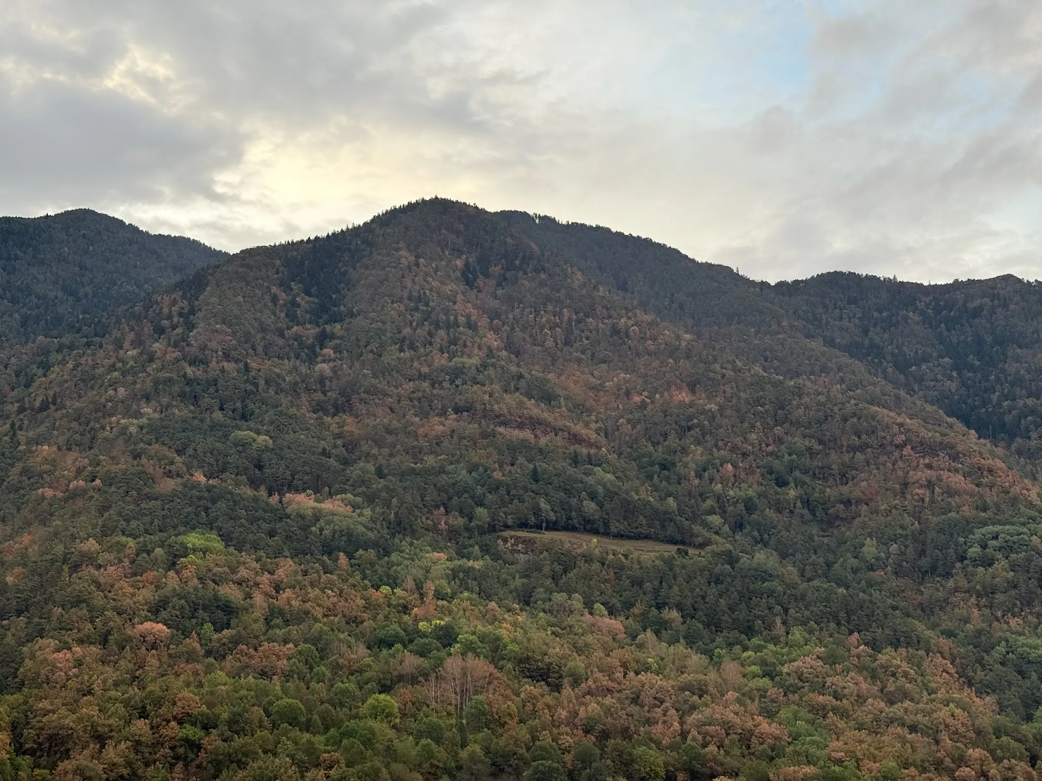 Montañas boscosas con tonos otoñales verdes y marrones en el entorno de Ordesa. Foto propia La Maleta Inquieta, octubre 2026