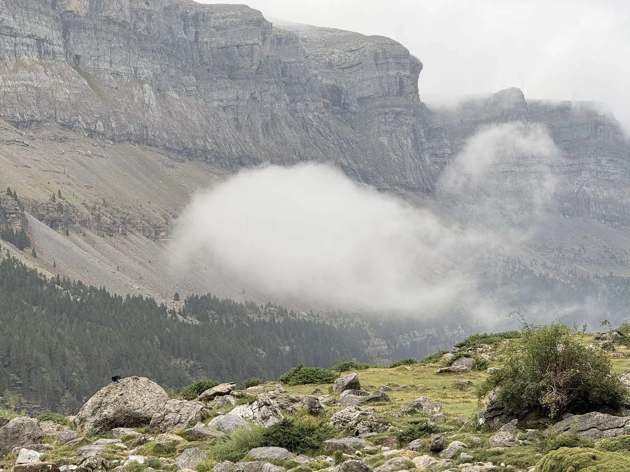Paredes rocosas del valle de Ordesa con nubes bajas, bosque de pinos y prados en otoño. Foto propia La Maleta Inquieta, octubre 2026
