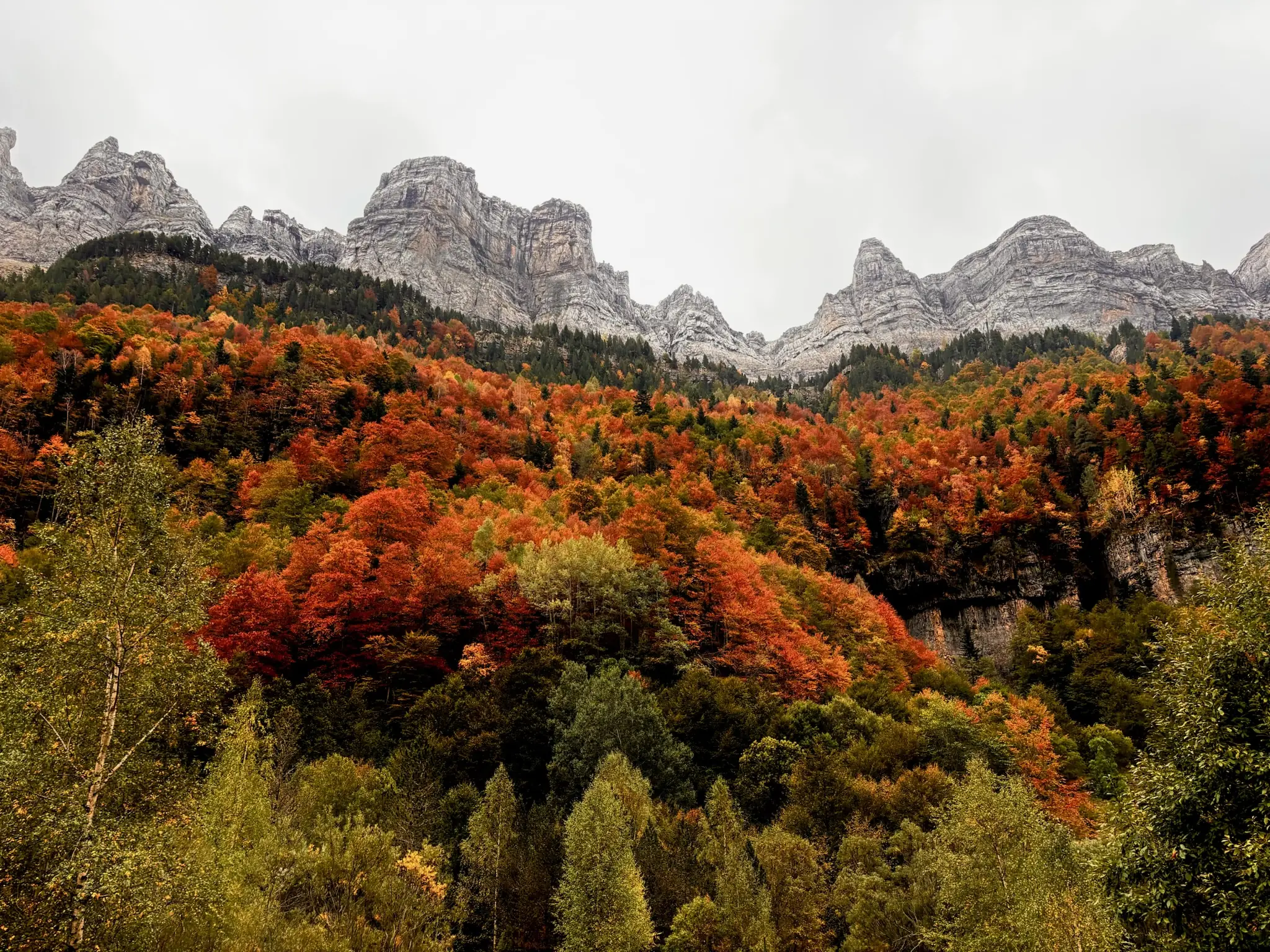 Panorámica del valle de Ordesa con montañas calizas y bosque en colores rojos, naranjas y amarillos. Foto propia La Maleta Inquieta, octubre 2026