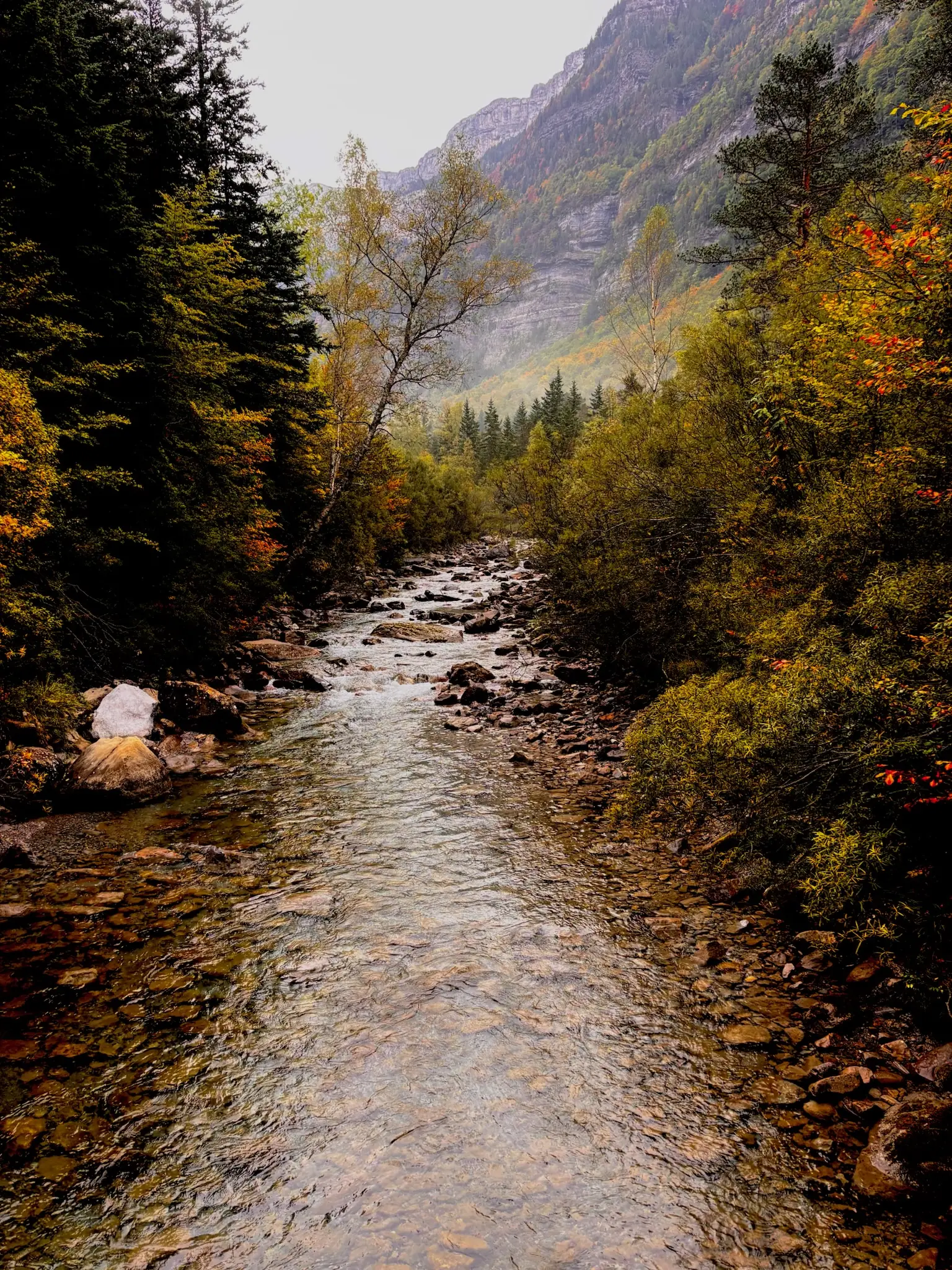 Río de agua cristalina entre rocas y vegetación otoñal, con paredes del valle de Ordesa. Foto propia La Maleta Inquieta, octubre 2026