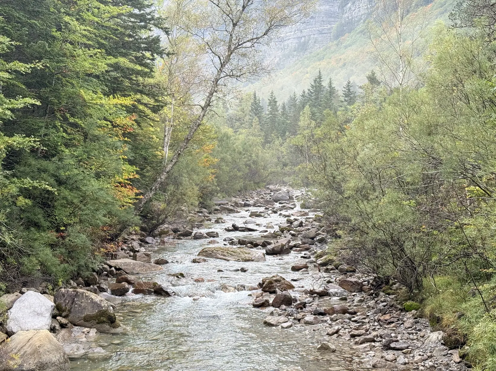 Río Arazas en Ordesa con rocas, agua corriente entre árboles y pared rocosa al fondo. Foto propia La Maleta Inquieta, octubre 2026