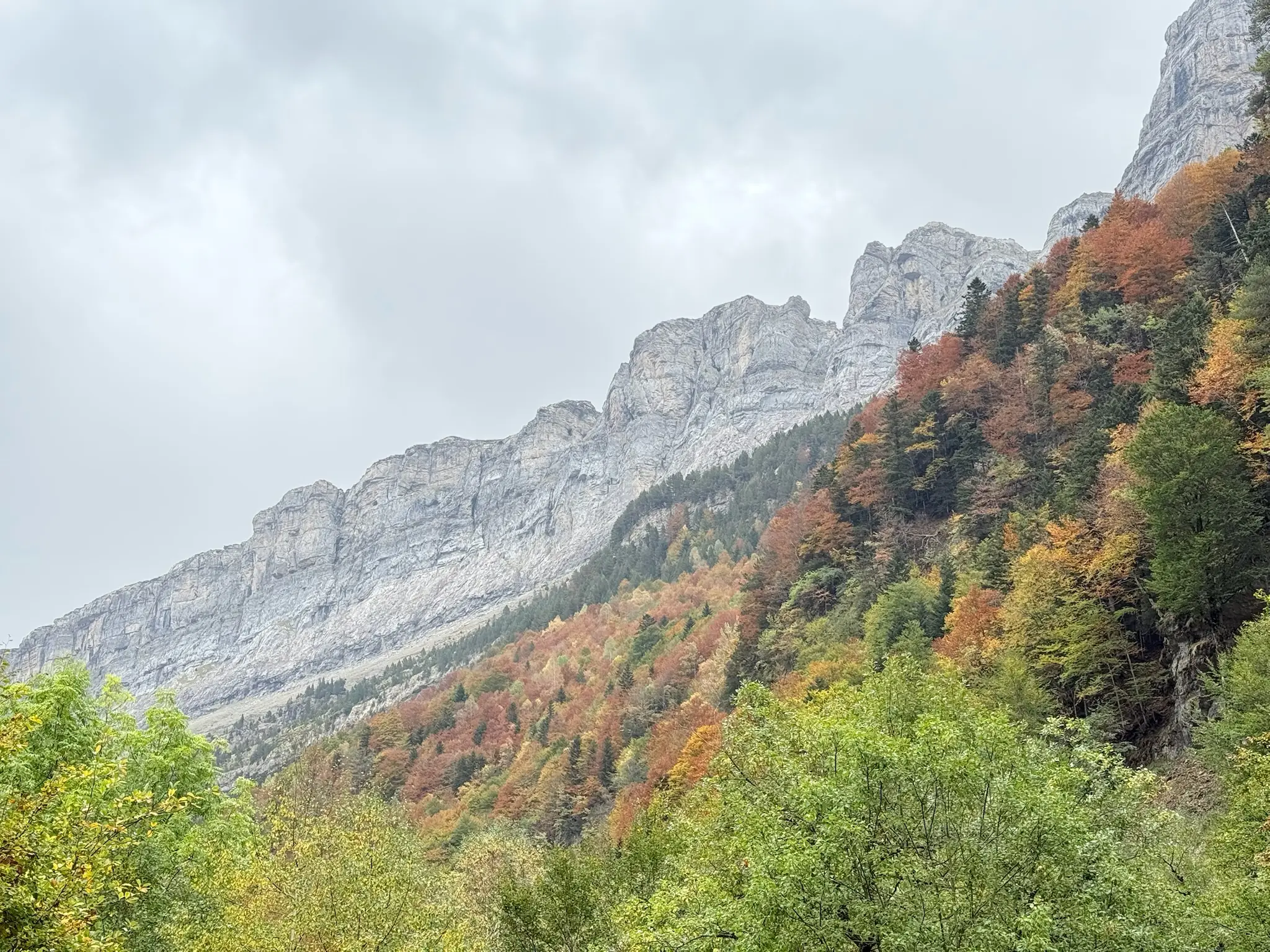 Pared rocosa del valle de Ordesa con bosque otoñal en la ladera bajo cielo nublado. Foto propia La Maleta Inquieta, octubre 2026