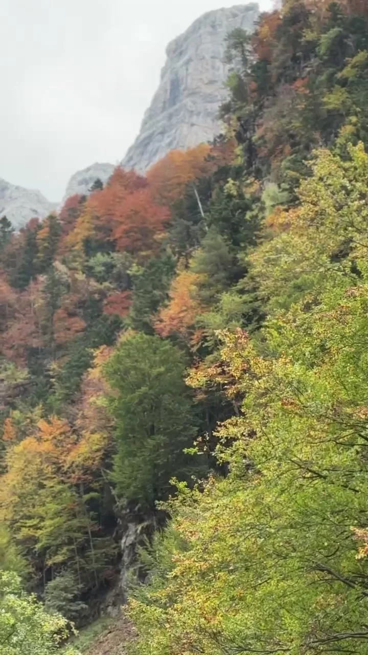 Pared rocosa del valle de Ordesa con hayedo en colores otoñales sobre la ladera. Foto propia La Maleta Inquieta, octubre 2026