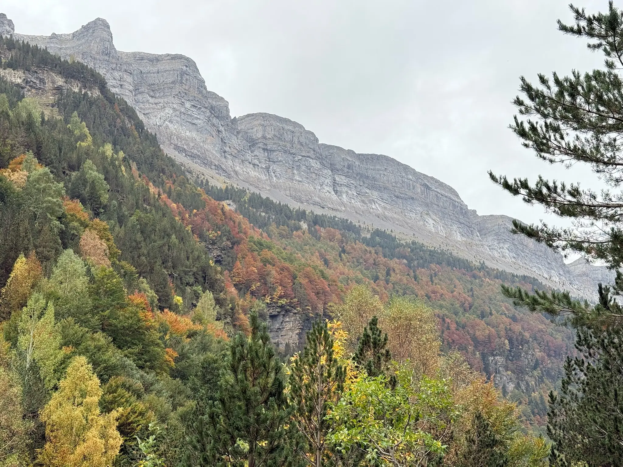 Pared rocosa con bosque otoñal en la ladera del valle de Ordesa cerca del circo de Soaso. Foto propia La Maleta Inquieta, octubre 2026