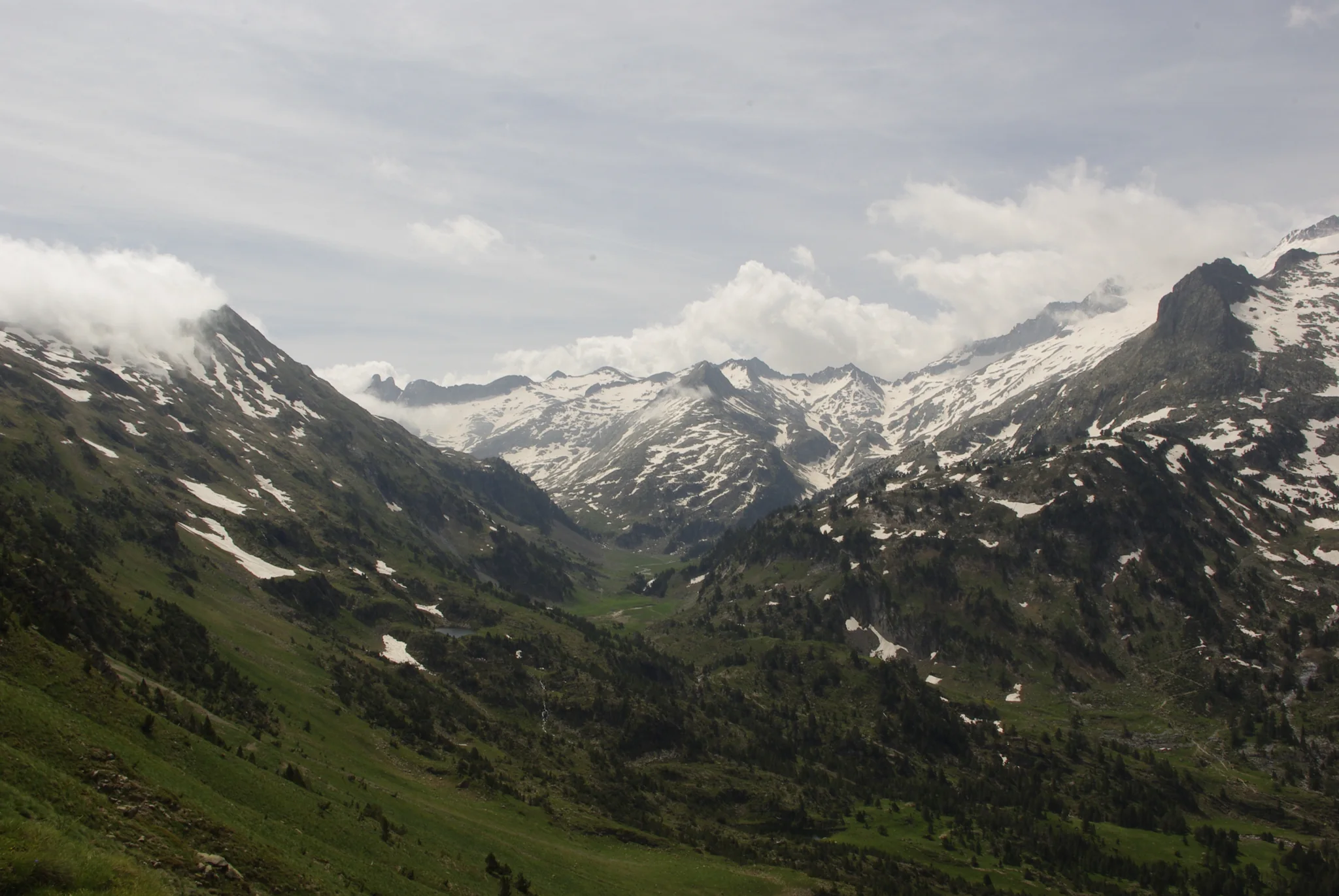 Valle de Benasque con praderas verdes en primer plano y montañas nevadas de la Maladeta al fondo bajo cielo parcialmente nublado