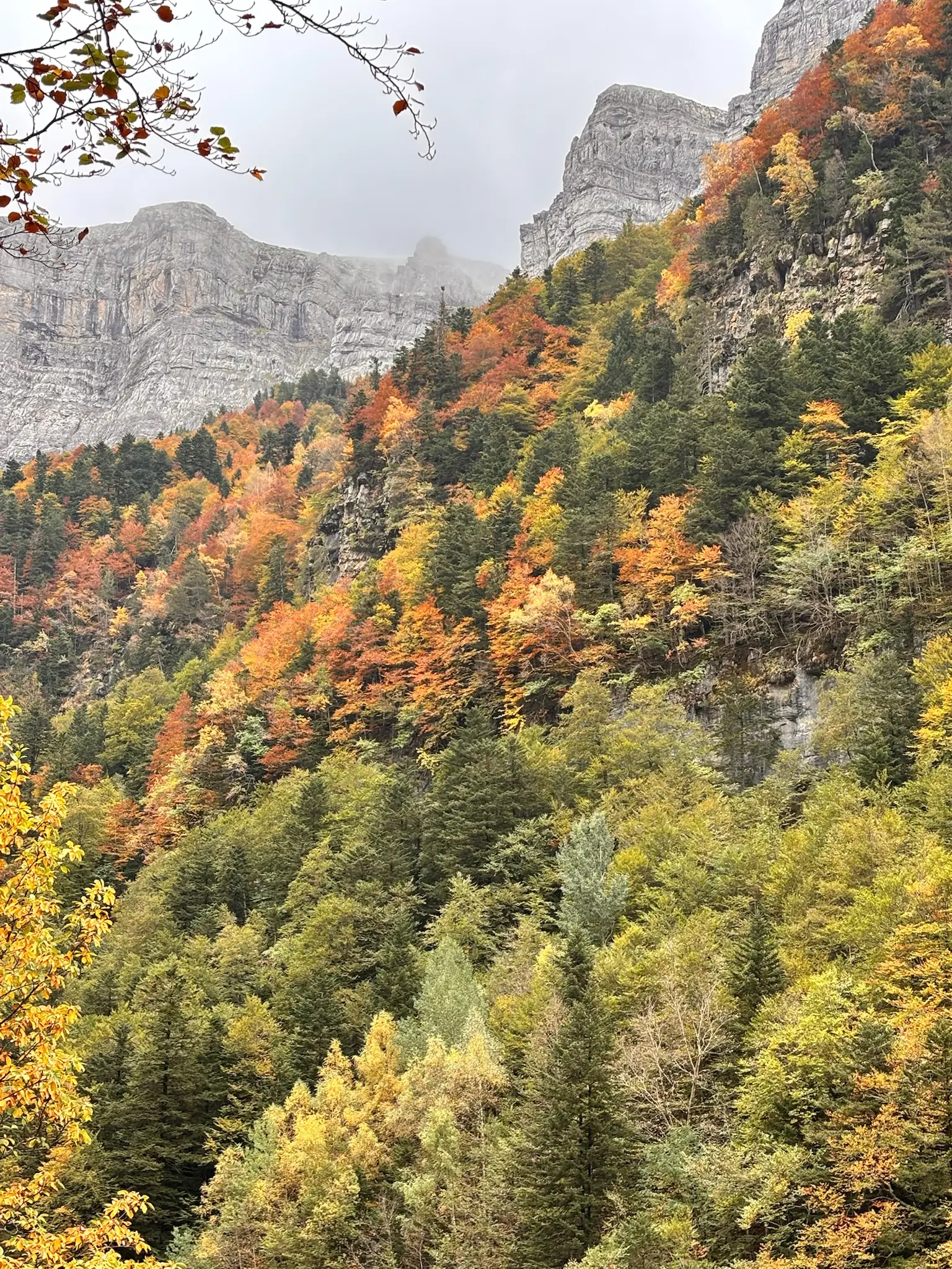 Roca caliza del valle de Ordesa rodeada de bosque con colores otoñales intensos. Foto propia La Maleta Inquieta, octubre 2026
